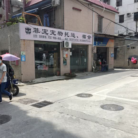 菲宠宠物托运猫舍:深圳市宝安区福永附近