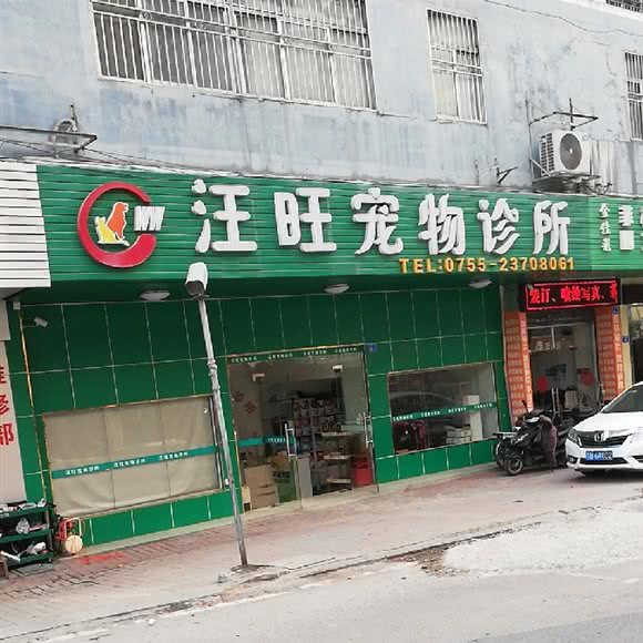 汪旺宠物诊所:深圳市宝安区福永附近