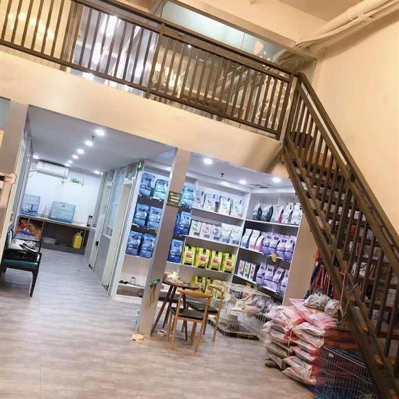 红瑞宠物诊所:深圳市宝安区福永附近