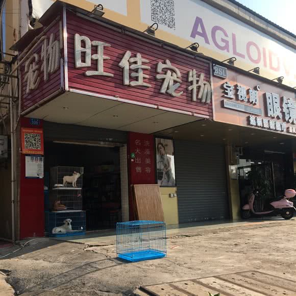 旺佳宠物:深圳市宝安区沙井附近
