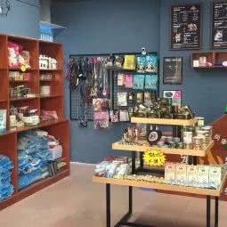 猫朋狗友宠物俱乐部:深圳市宝安区沙井附近