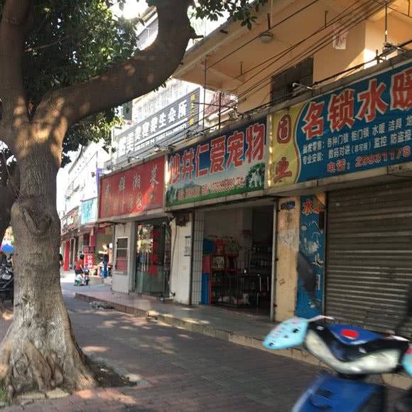 沙井仁爱宠物:深圳市宝安区沙井附近