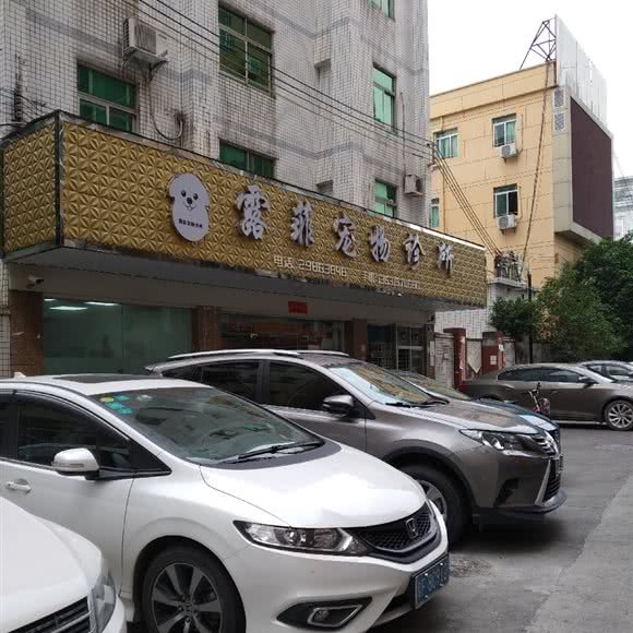 露菲宠物医院:深圳市宝安区沙井附近