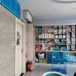 唯宠宠物诊所(沙井店):深圳市宝安区沙井附近