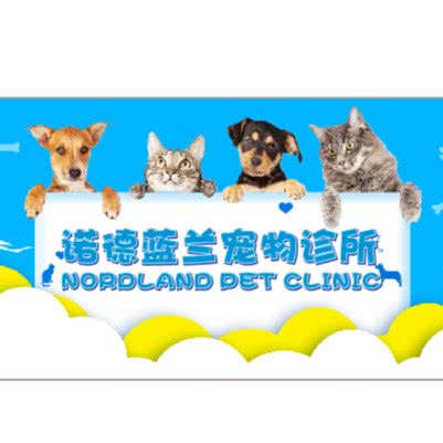 诺德蓝兰动物诊所:深圳市宝安区沙井附近