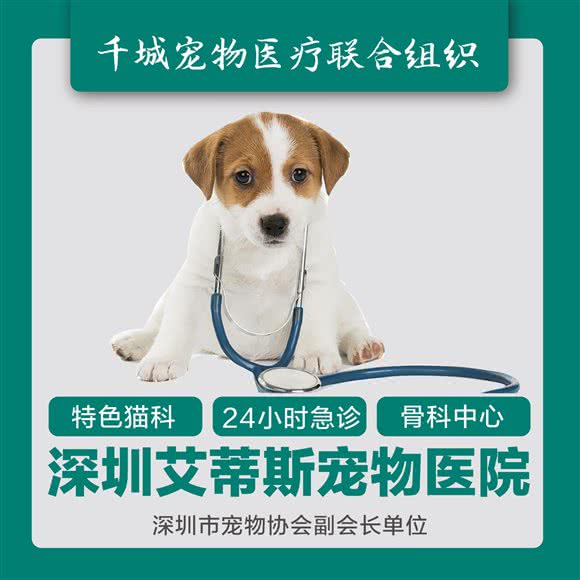 艾帝斯宠物医院(沙井总院):深圳市宝安区沙井附近