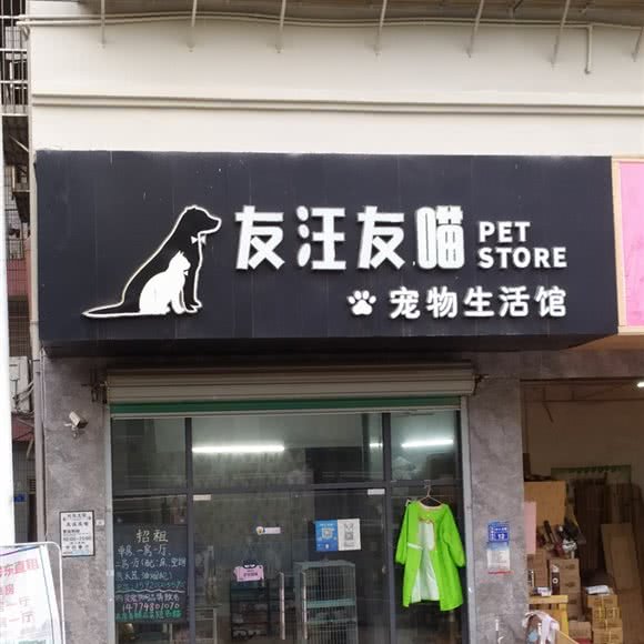 友汪友喵:深圳市宝安区宝安国际机场附近