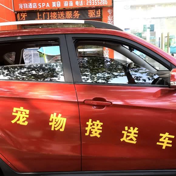 狗爸爸宠物生活馆:深圳市宝安区共乐城附近