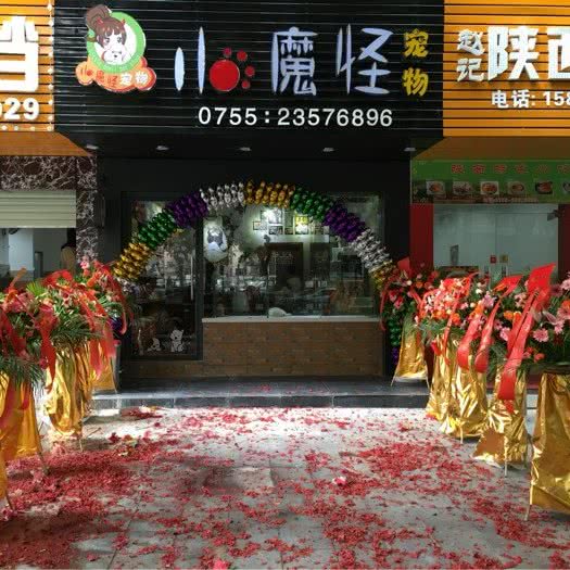 小魔怪宠物:深圳市宝安区石岩附近