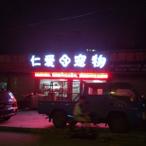 仁爱狗狗:深圳市宝安区石岩附近