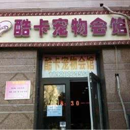 酷卡宠物:天津城区武清区武清区附近