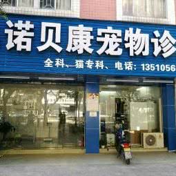 诺贝康宠物诊所:深圳市宝安区石岩附近