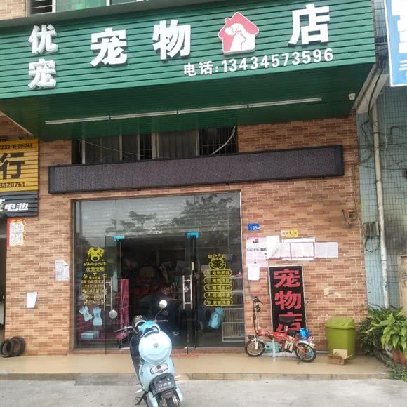 优宠宠物店:深圳市宝安区松岗附近