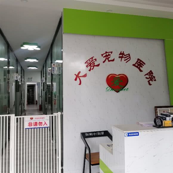 大爱宠物医院:深圳市宝安区松岗附近