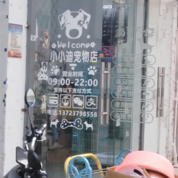 小小迪宠物店:深圳市宝安区固戍附近