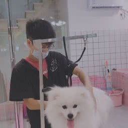 多多小窝宠物馆:深圳市龙岗区龙岗中心城区附近