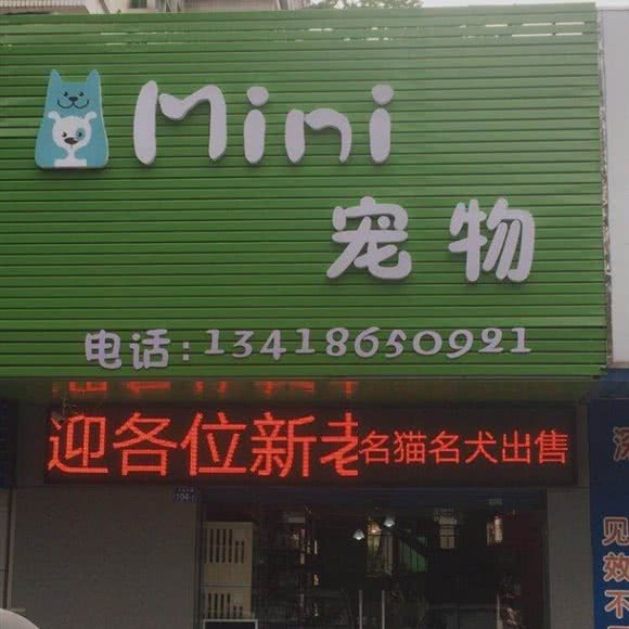 MINi狗狗生活馆:深圳市龙岗区龙岗中心城区附近