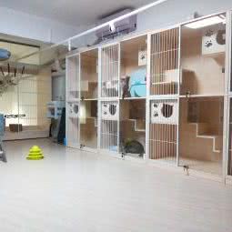 撸宠会堂宠物生活馆:深圳市龙岗区龙岗中心城区附近