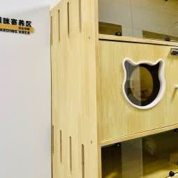 汪达宠物:深圳市龙岗区龙岗中心城区附近