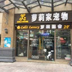 萝莉家宠物:深圳市龙岗区龙岗中心城区附近