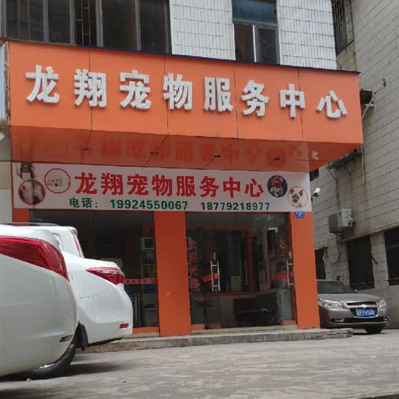 龙翔宠物服务中心(龙岗分店):深圳市龙岗区龙岗中心城区附近
