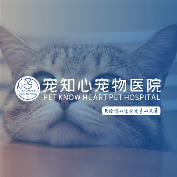 宠知心宠物医院(龙城分院):深圳市龙岗区龙岗中心城区附近