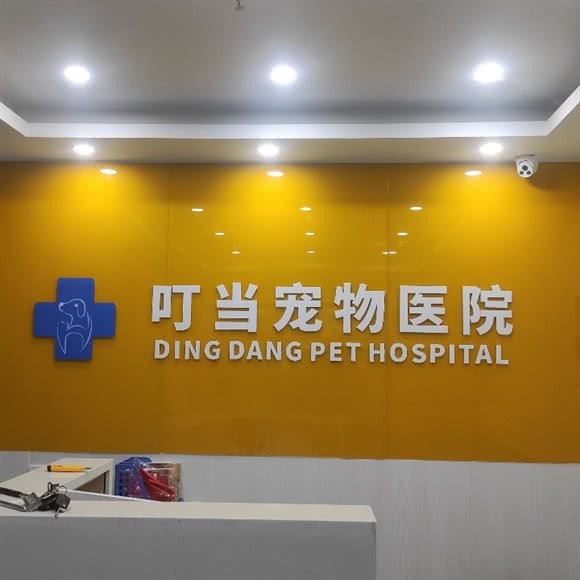 深圳市叮当宠物医院:深圳市龙岗区龙岗中心城区附近