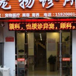 弘祥宠物诊所:深圳市龙岗区龙岗中心城区附近