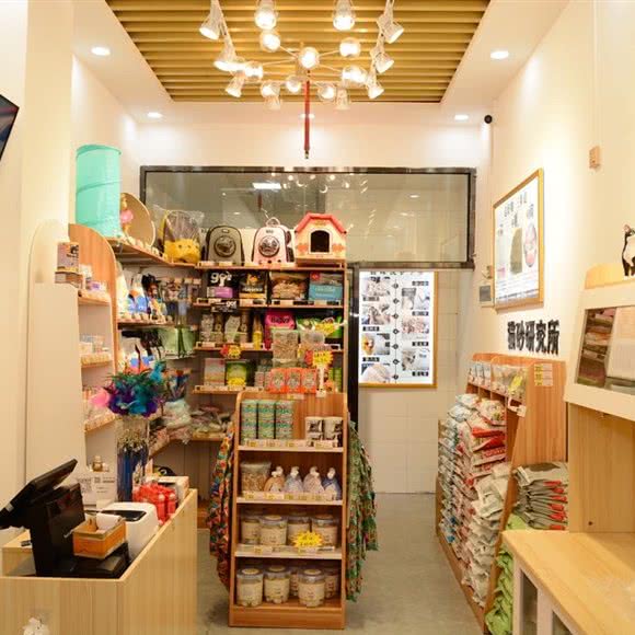 元気猫館:深圳市龙岗区坂田/杨美附近