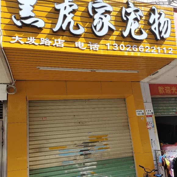 黑虎家宠物(大发路店):深圳市龙岗区坂田/杨美附近