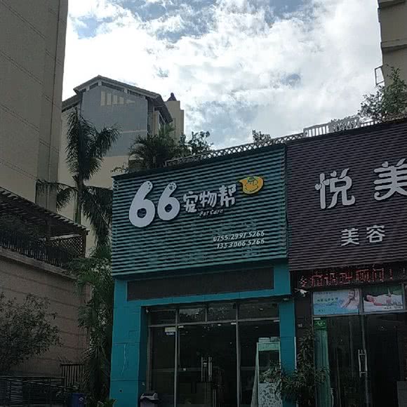 66宠物帮(春华四季园店):深圳市龙岗区坂田/杨美附近