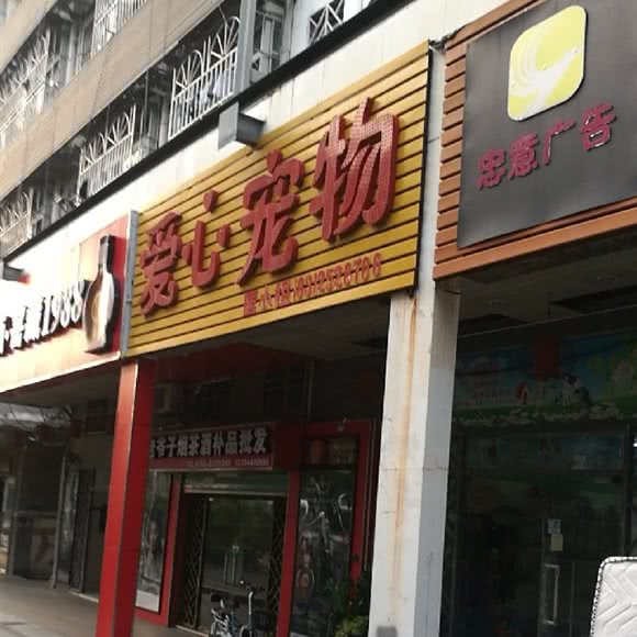 爱心宠物(坂田店):深圳市龙岗区坂田/杨美附近