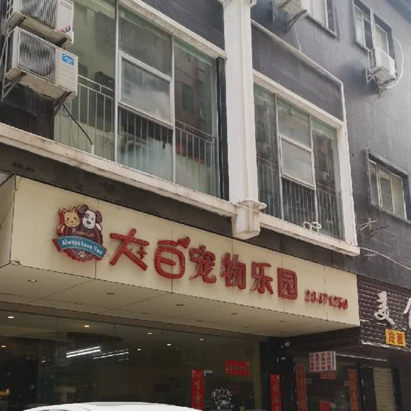 大白宠物乐园:深圳市龙岗区坂田/杨美附近