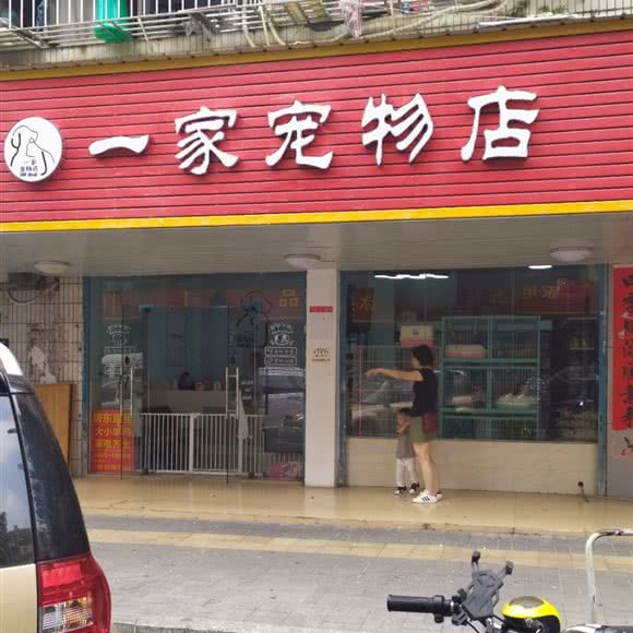 一家宠物店:深圳市龙岗区坂田/杨美附近