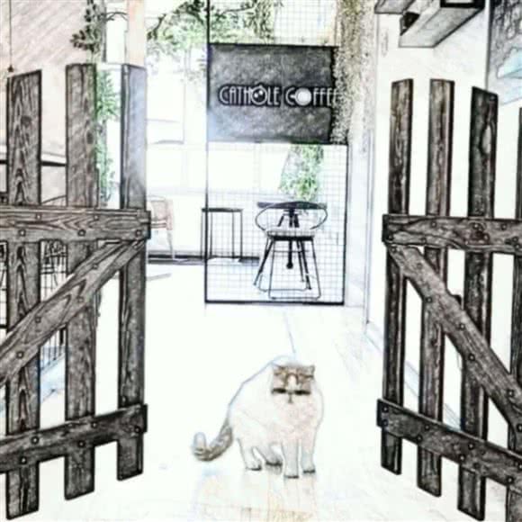 猫洞er·猫咖:天津城区武清区武清区附近