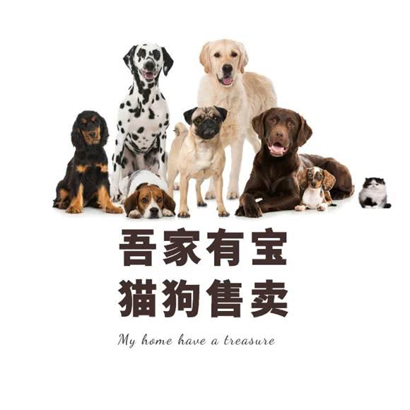 徕利萌宠宠物生活馆:深圳市龙岗区坂田/杨美附近