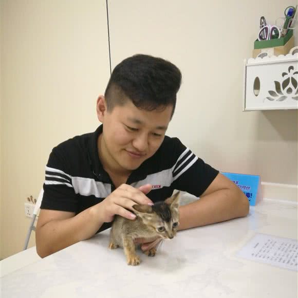 深圳市龙岗区坂田佳德宠物医院:深圳市龙岗区坂田/杨美附近