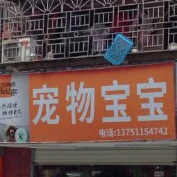 爱宠准妈妈:深圳市龙岗区布吉街/东站附近