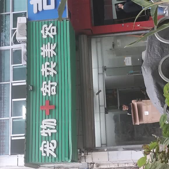 宠物+寄卖美容:深圳市龙岗区布吉街/东站附近