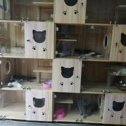 爱尚宠物:深圳市龙岗区布吉街/东站附近