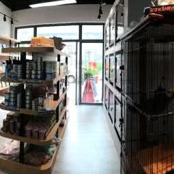 BOLA宠物会馆:深圳市龙岗区布吉街/东站附近