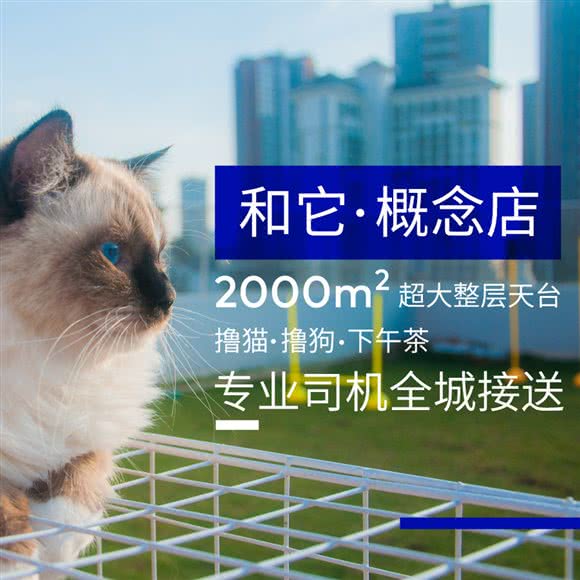 和它:深圳市龙岗区布吉街/东站附近