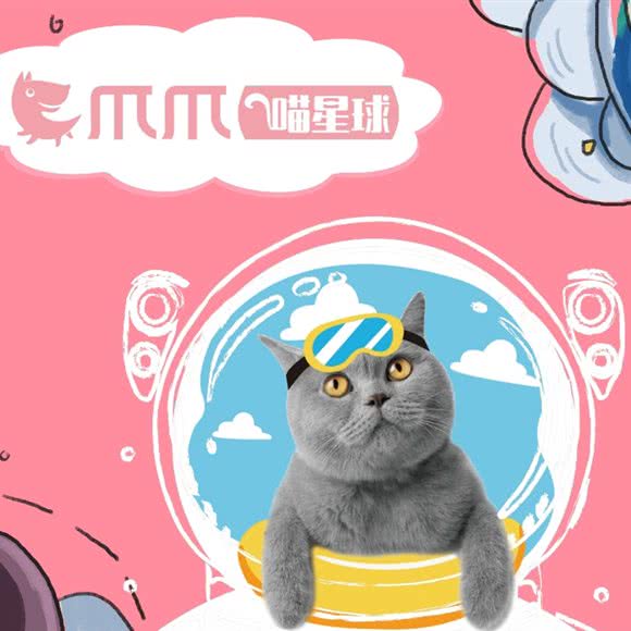 爪爪喵星球(布吉万象汇店):深圳市龙岗区布吉街/东站附近