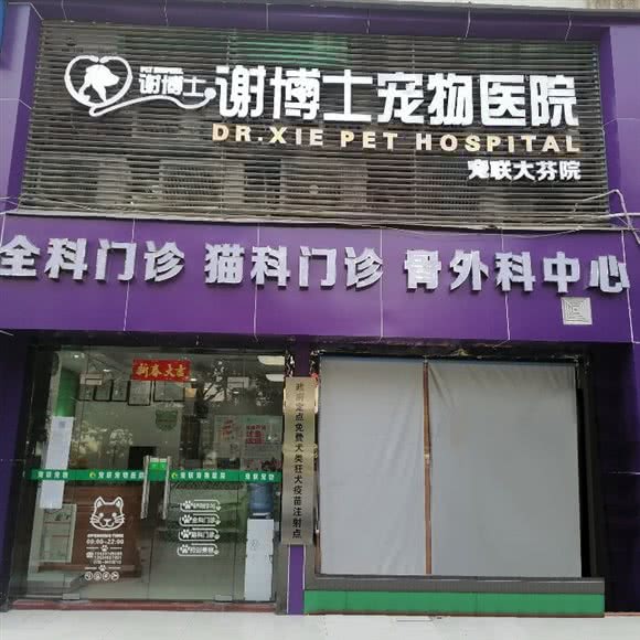 谢博士宠物医院(宠联大芬院):深圳市龙岗区布吉街/东站附近