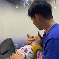 TAKTA PET宠物衣服定制体验馆:深圳市龙岗区坪山附近