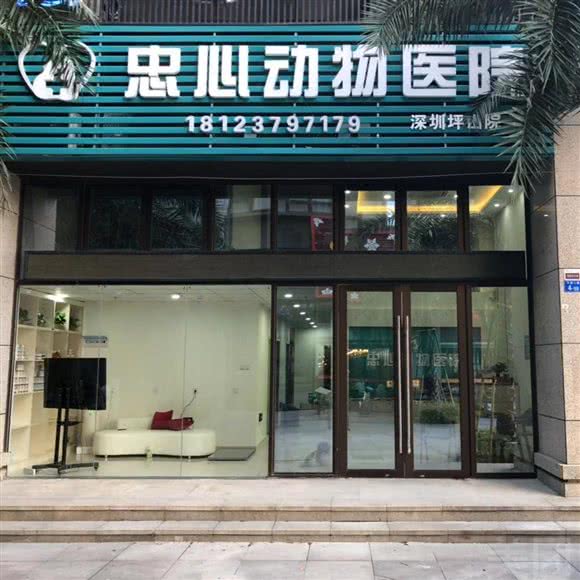 忠心动物医院(24小时):深圳市龙岗区坪山附近