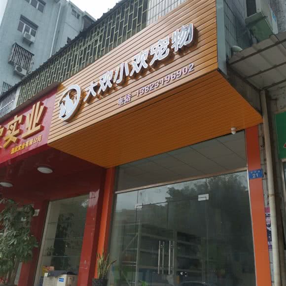 大欢小欢宠物:深圳市龙岗区双龙/南联附近