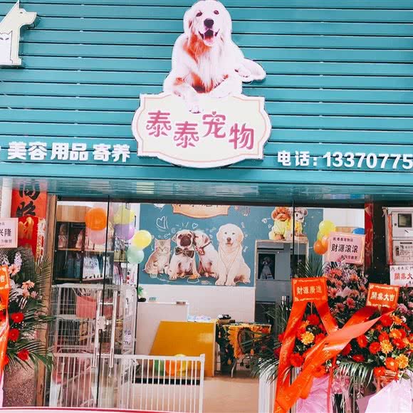 泰泰宠物:深圳市龙岗区双龙/南联附近