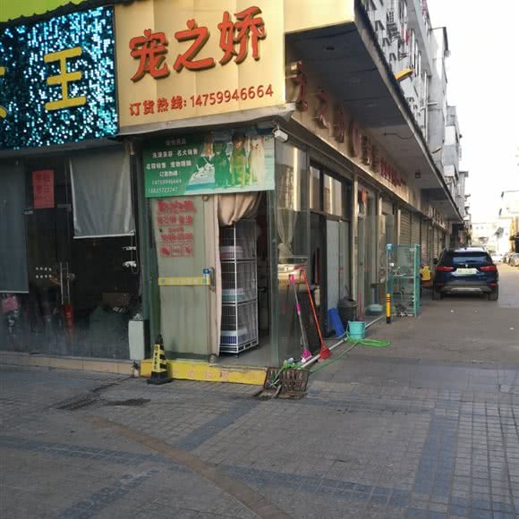 宠之娇宠物店:深圳市龙岗区双龙/南联附近