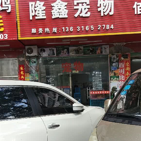 隆鑫宠物:深圳市龙岗区双龙/南联附近